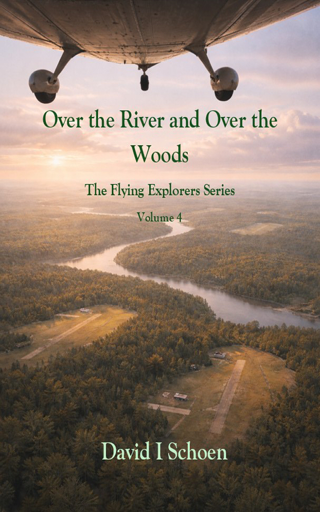 Book 4 cover