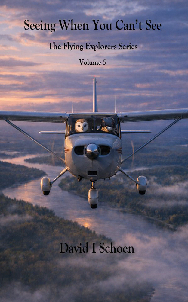 Book 5 cover